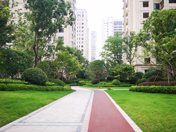 绿植栽种配置实拍图